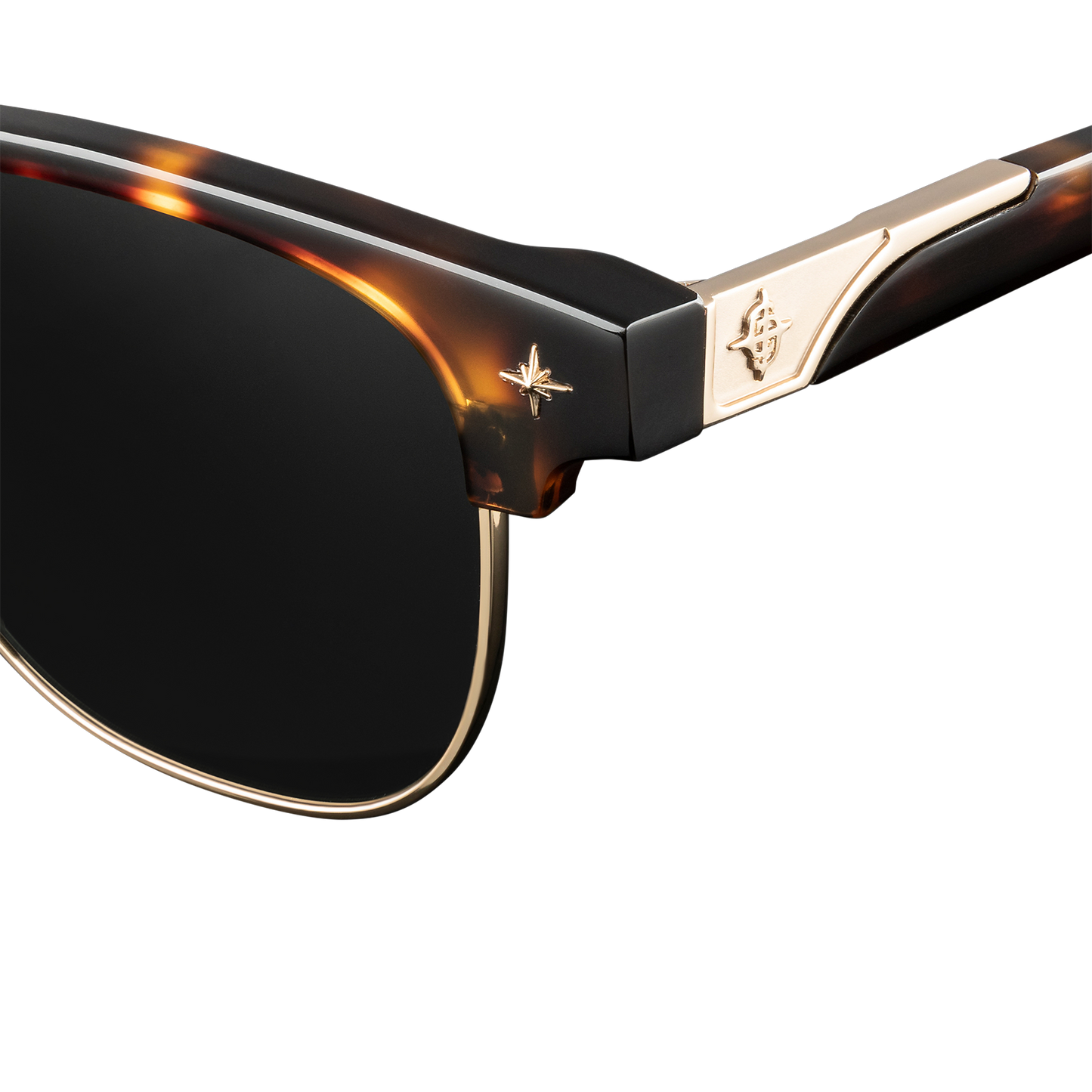 Day Tripper x Tortoise