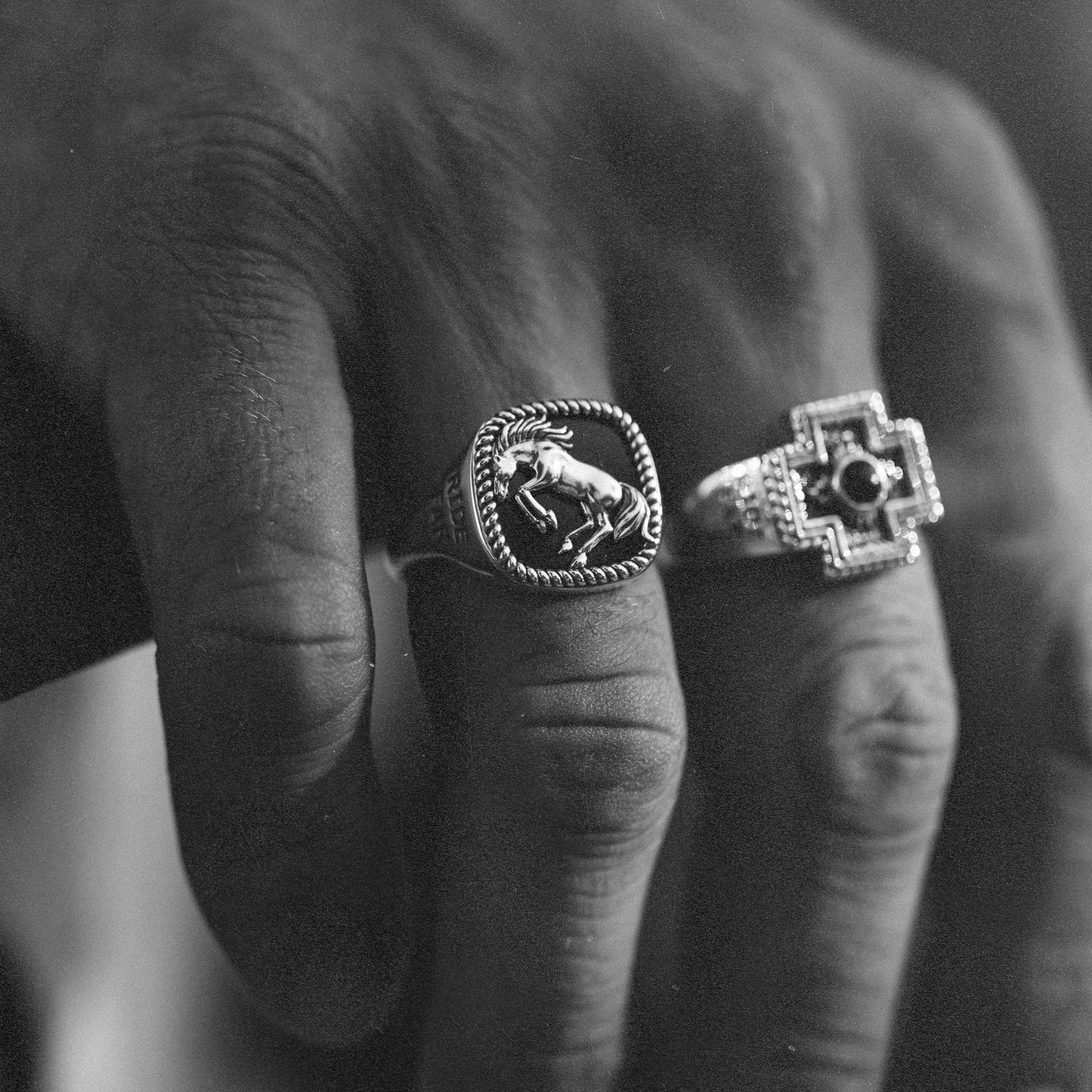 Brave Heart x Diamond Cross Ranch