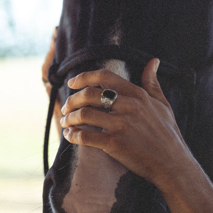 413 x Diamond Cross Ranch x Onyx