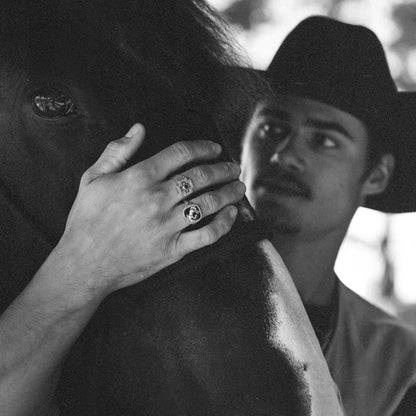 Brave Heart x Diamond Cross Ranch