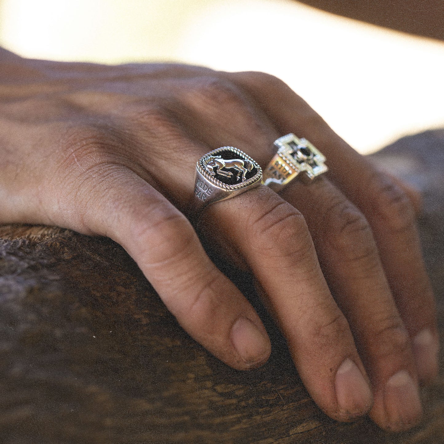 Brave Heart x Diamond Cross Ranch