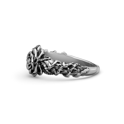 All Apologies x 316L