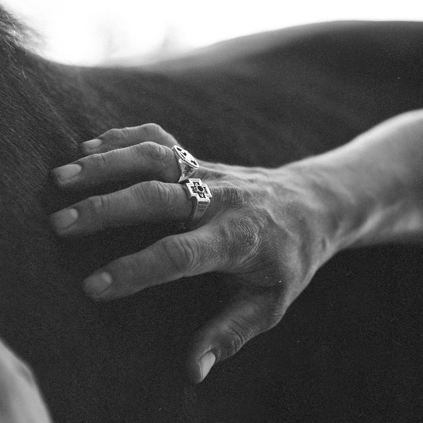 Rodeo x Diamond Cross Ranch