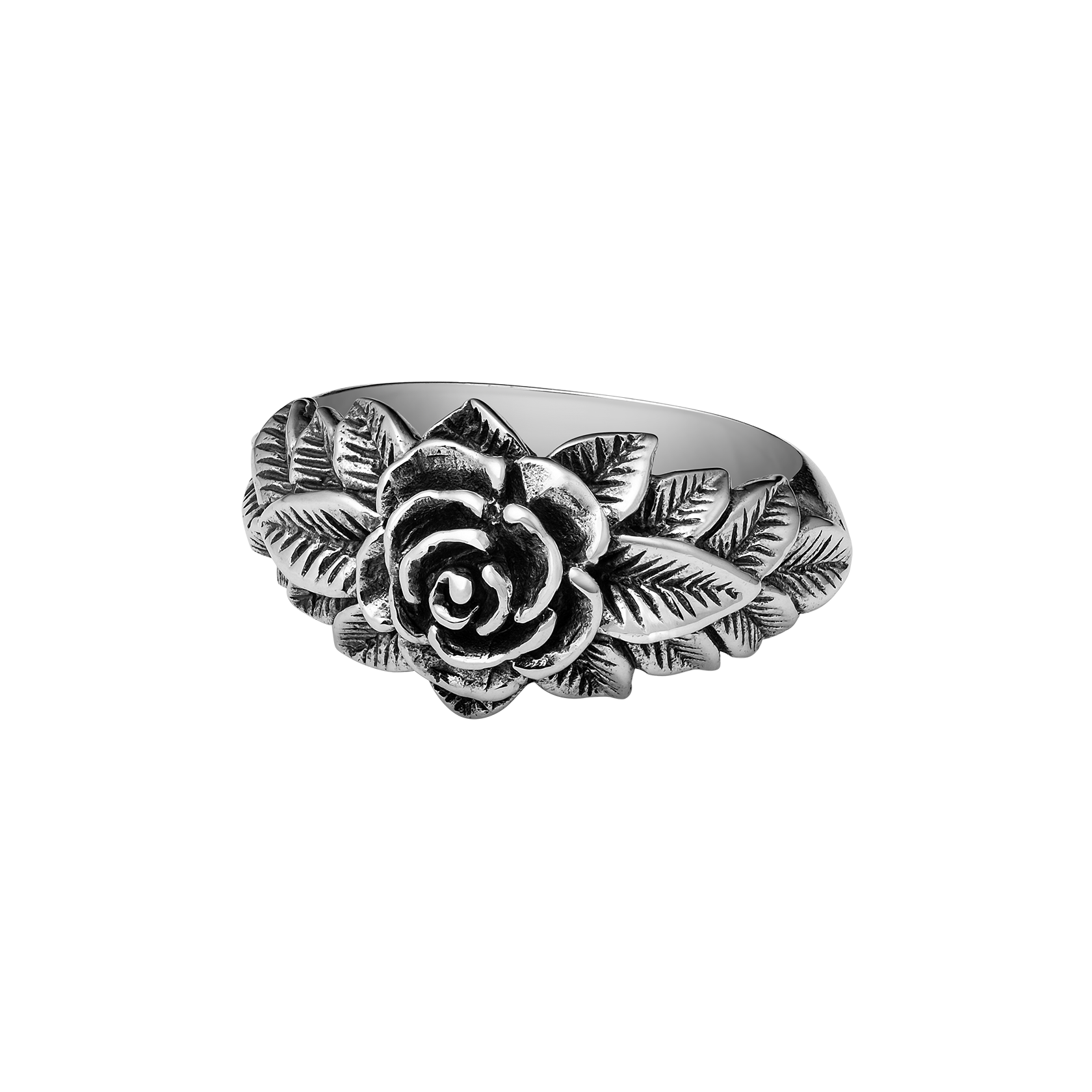Bloom - Bloom-CC-01.png