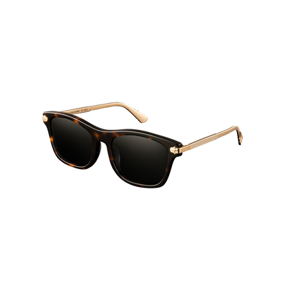 Cruiser x Polished Tortoise - Cruiser x Polished Tortoise-ClocksAndColours-1.png