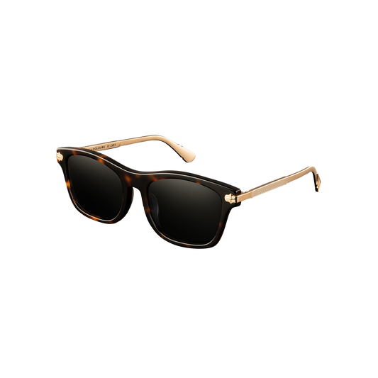 Cruiser x Polished Tortoise - Cruiser x Polished Tortoise-ClocksAndColours-1.png