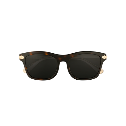 Cruiser x Polished Tortoise - Cruiser x Polished Tortoise-ClocksAndColours-2.png