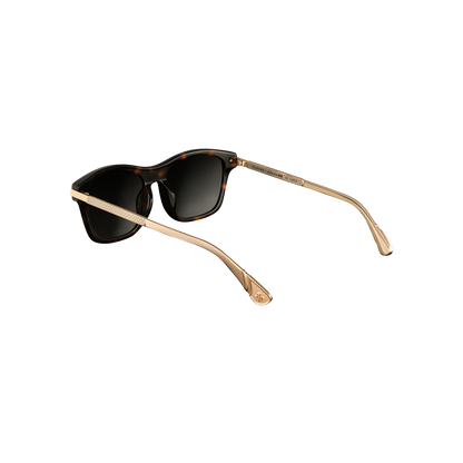 Cruiser x Polished Tortoise - Cruiser x Polished Tortoise-ClocksAndColours-3.png