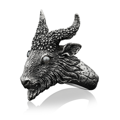 Ni Dieu x Davey Havok