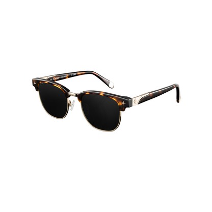 Day Tripper x Tortoise