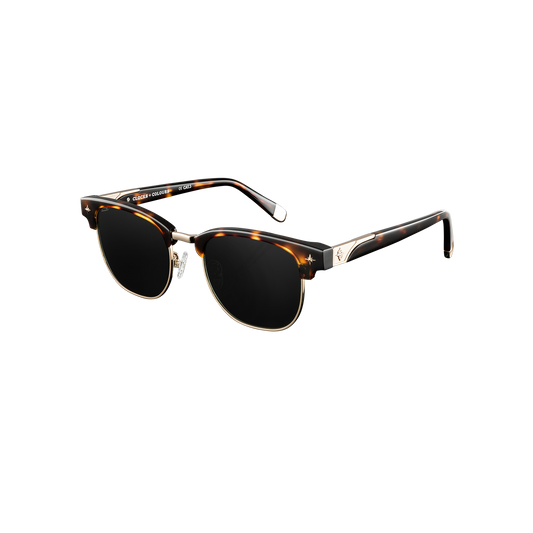 Day Tripper x Tortoise