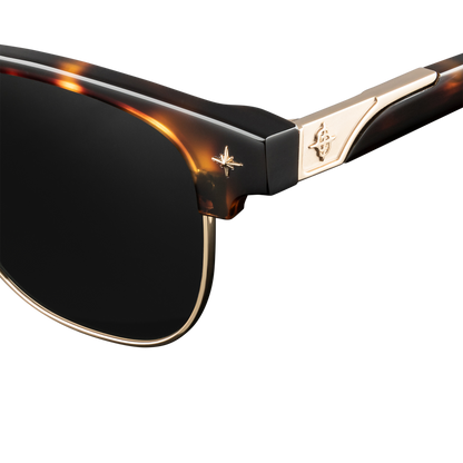 Day Tripper x Tortoise