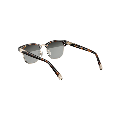 Day Tripper x Tortoise