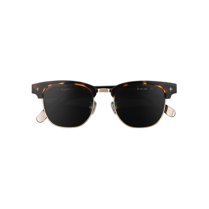 Day Tripper x Tortoise