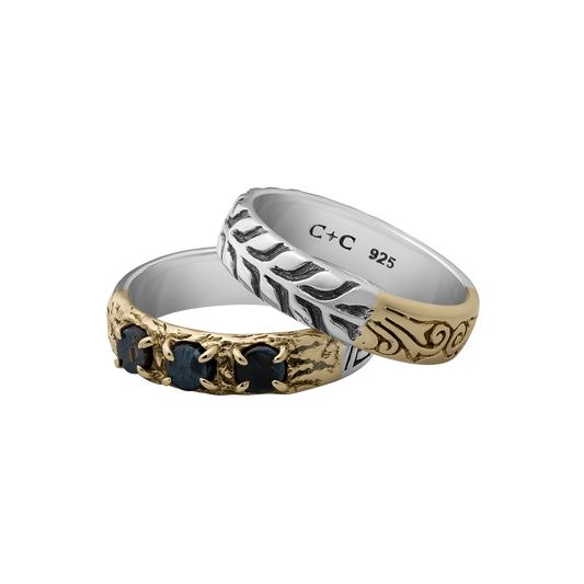 Hermes - Hermes-CC-1.png