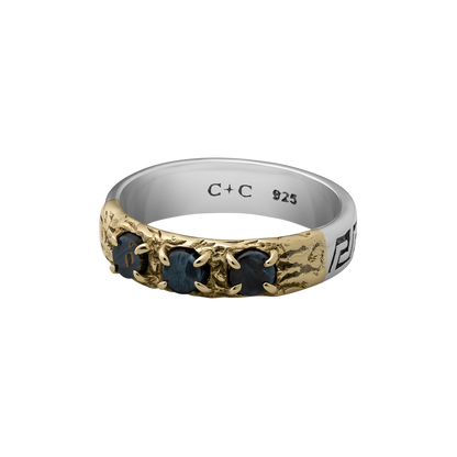 Hermes - Hermes-CC-4.png