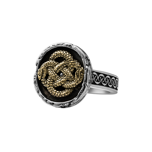 Ouroboros x Brass Inlay - Ouroboros-Brass-CC-01.png