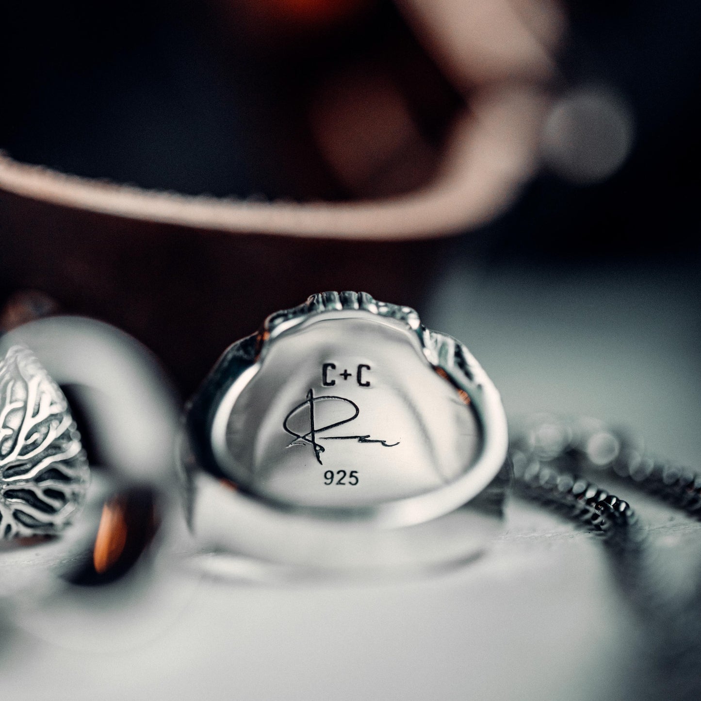 Voyageur x Peter McKinnon